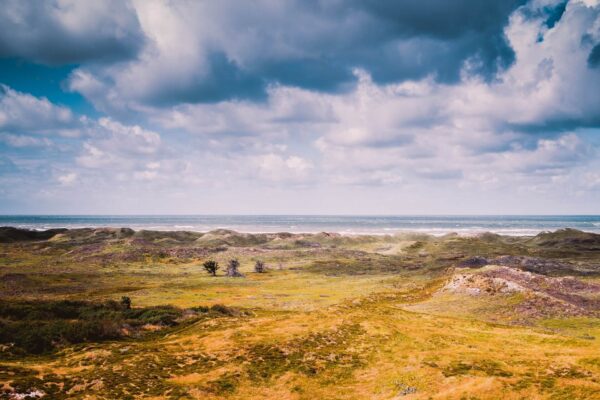 Henne Strand: acogedoras vacaciones de playa en la costa oeste de Dinamarca
