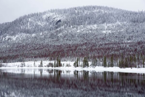 Jämtland: vacaciones activas en el oeste de Suecia