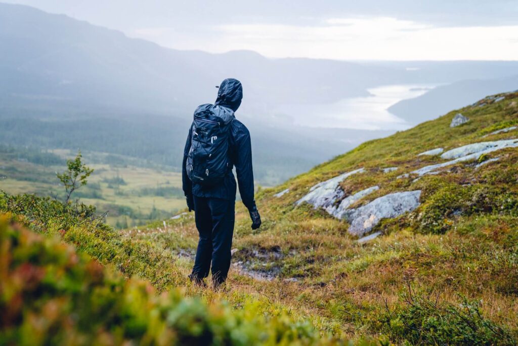 Jämtland Impresiones Naturaleza Mullfjället