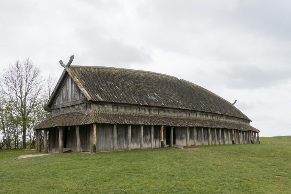 Zelanda Impresiones Cultura Vikingos